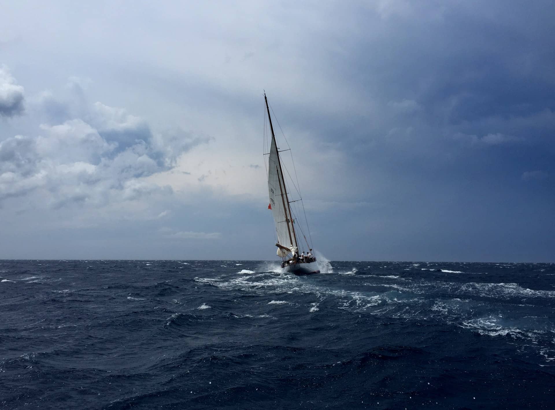 Surviving a Storm