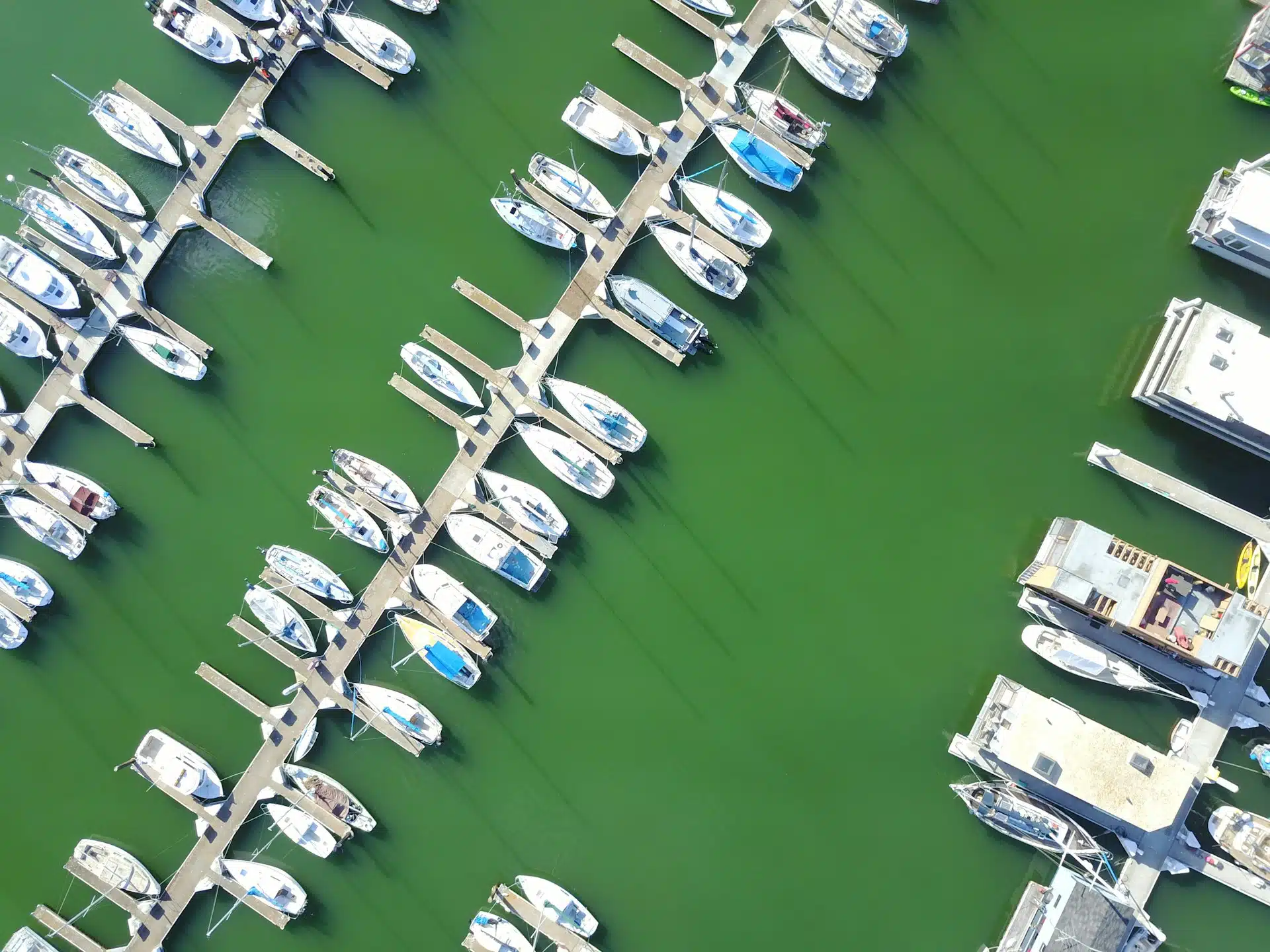 Environmental Impact of Boat Docks