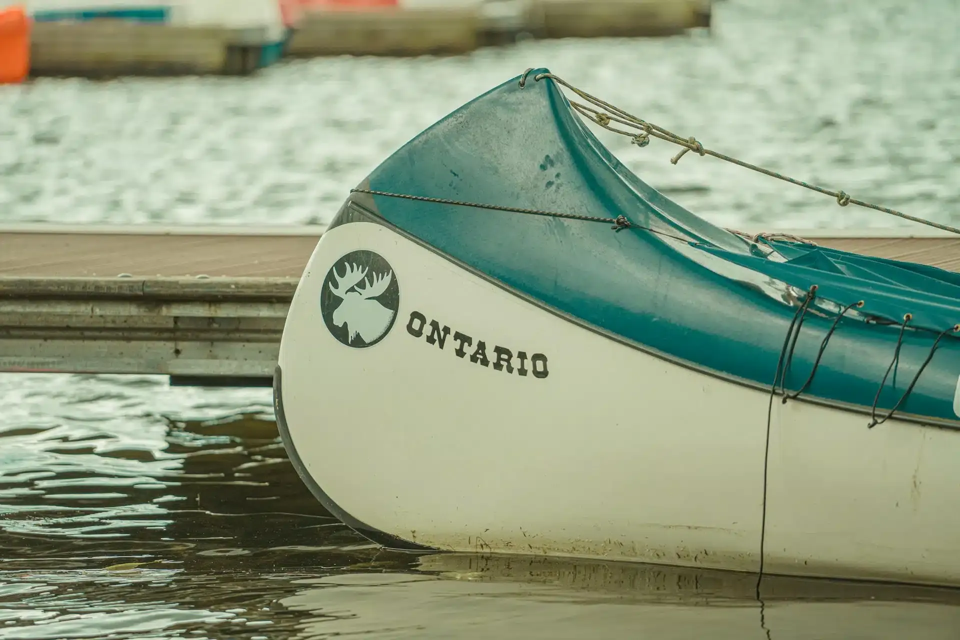 Plastic Docks vs Wood Docks